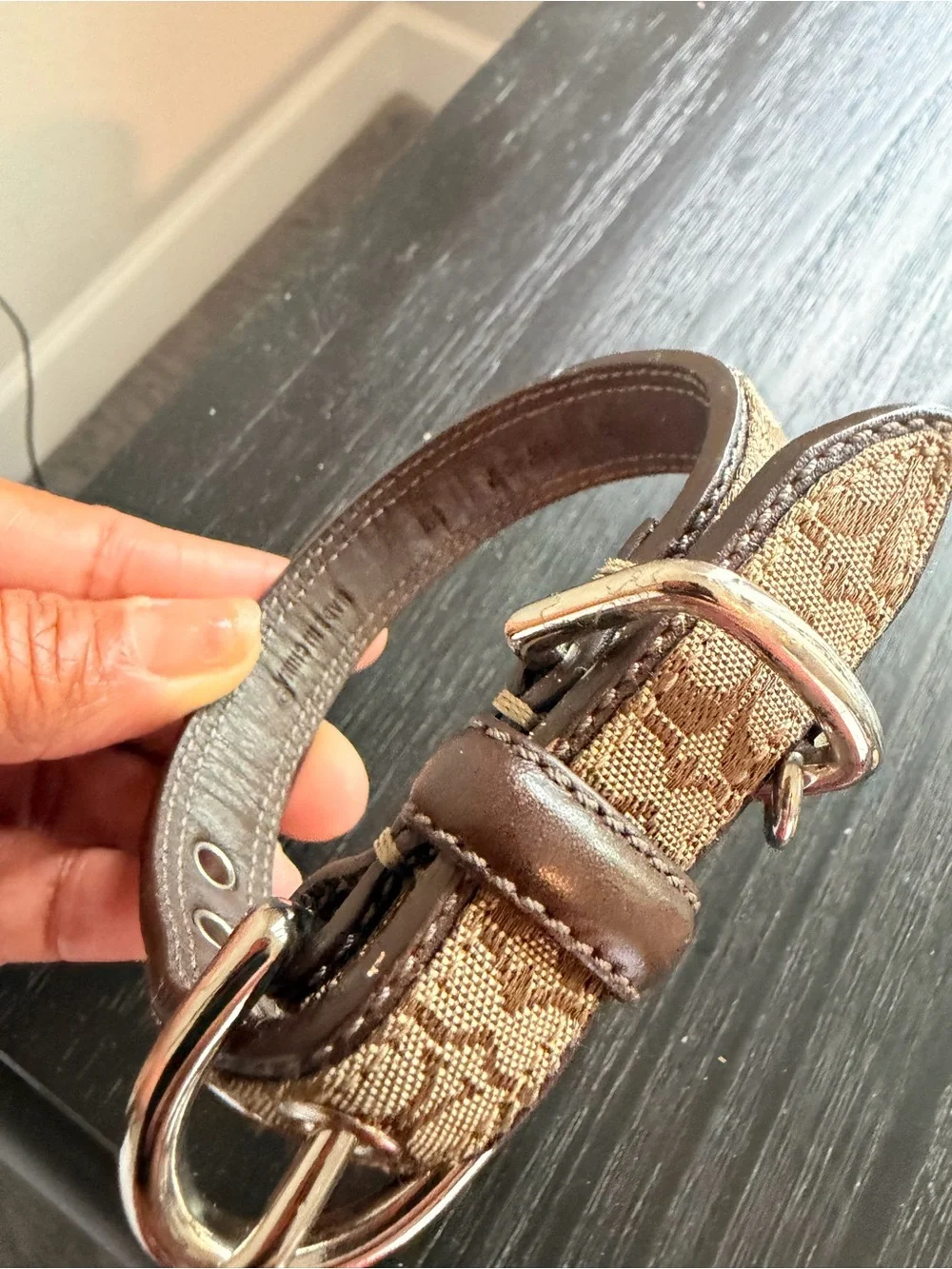 Authentic Coach Monogram Brown  Leather Trim Dog Collar with Silver Hardware